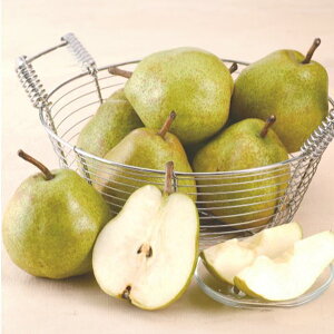 Ε  t[c Mtg R` EtX 10`12 3kg Zbg lߍ킹 ʕ ʎ m miV  mȂ  O Hi Hו Ε 2025 ΕMtg 蕨 