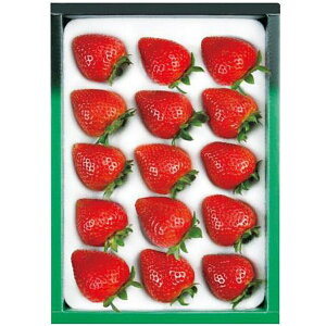 Ε  t[c Mtg _Cʉ ܂  360g ʕ ʎ ܂ C`S   O Hi Hו ① Ε 2025 ΕMtg 蕨 Ԃ 