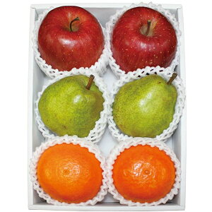 Ε  t[c Mtg ӂ  g܂ǂ EtX e2 Zbg lߍ킹 { ʕ ʎ ь  S ݂ m miV O Hi Ε 2025 ΕM