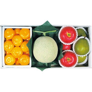 Ε  t[c Mtg _Cʉ EC^[t[c XyV Zbg lߍ킹  Lc݂ tX ӂ ʕ ʎ O Hi Ε 2025 ΕMtg 