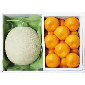 Ε  t[c Mtg _Cʉ A[X 1 1.2kg a̎R ݂ 1.2kg Zbg lߍ킹 ʕ ʎ { Yn O Hi Hו Ε 2025 ΕMtg 蕨 