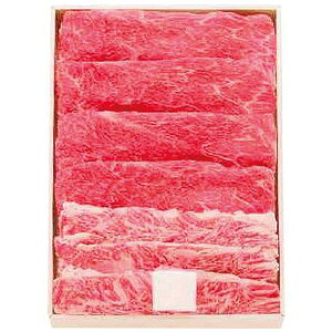 Ε  ㋍  a Mtg Ă Efo v500g Zbg lߍ킹 A-4ȏ 痿    O Hi Hו Ⓚ Ε 2025 ΕMtg 蕨 Ԃ 