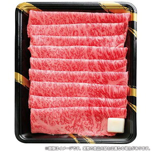 Ε   a Mtg  јa A5N Ă  400g Zbg lߍ킹 Y 痿    O Hi Hו Ⓚ Ε 2025 ΕMtg 