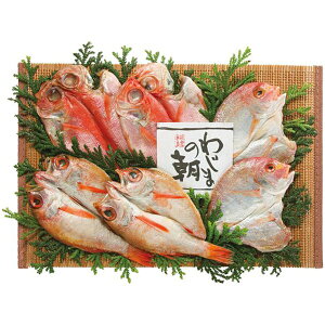 Ε  CN  CY Mtg 킶܂̒ ԋ Zbg lߍ킹 ڑ Aq ̂ǂ J  т̂ ܂  O Hi Ⓚ Ε 2025 ΕMtg 