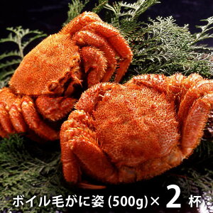 j j Ԃ  y CN Ε ~Mtg Mtg lߍ킹  kCY {C тɎp v1kg Zbg  oYj w  j j o T