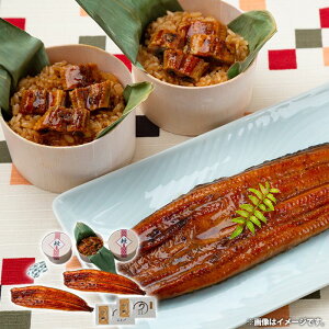 j j Ԃ  y CN Ε ~Mtg Mtg lߍ킹 Y Ȃ≮ Ă   Zbg  oYj w  j j o T