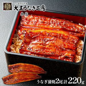 j j Ԃ  y CN Ε ~Mtg Mtg lߍ킹 Y Ȃ≮ Ȃ  2 Zbg  oYj w  j j o T