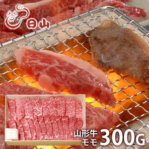 j Ԃ   a Ε ~Mtg Mtg   l` R R`  ēp 300g Y Zbg lߍ킹 Ⓚ oYj w  j j T