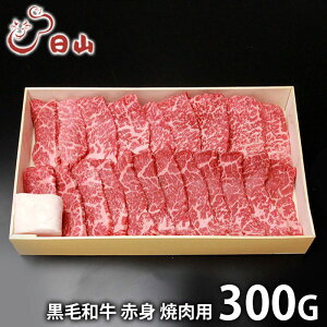 j Ԃ   a Ε ~Mtg Mtg   l` R јa Ԑgē 300g Y Zbg lߍ킹 Ⓚ oYj w  j j TԂ