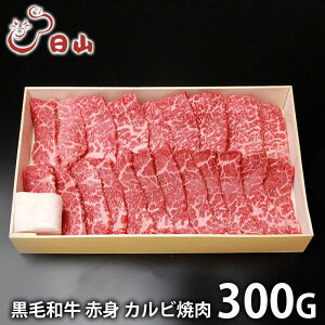 j Ԃ   a Ε ~Mtg Mtg   l` R јa Ԑg Jrē v300g Y Zbg lߍ킹 oYj w  j j T