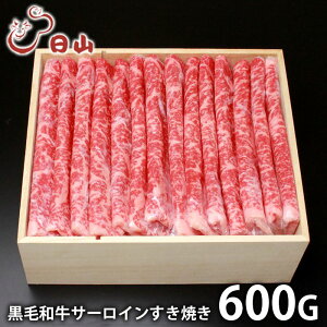 j Ԃ   a Ε ~Mtg Mtg  l`R јa T[C Ă 600g Y Zbg lߍ킹 oYj w  j j T