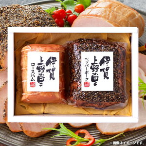 j Ԃ  n Ε ~Mtg Mtg  Od ɉ̗ [Xn ybp[|[N Zbg lߍ킹 ① oYj w  j j TԂ 