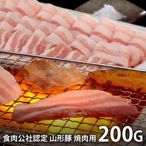 j Ԃ   ؓ Y Ε ~Mtg Mtg  R`HДF R` ēp 200g o Zbg lߍ킹 oYj w  j j TԂ 