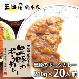 内祝い 内祝 お返し メーカー直送 送料無料 惣菜 ギフト 黒豚のポークカレー 20食 セット 詰め合わせ 三田屋総本家 出産内祝い 結婚内祝い 結婚祝い 出産祝い 引き出物 香典返し 快気祝い お祝い返し 引越し 挨拶 お礼 父の日 プレゼント ははの日 【代引不可】