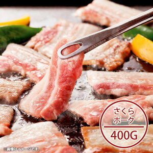 j j Ԃ  񂹃O Ε ~Mtg Mtg Zbg l |[N ē BY40-SP oYj j j oYj o TԂ Cj j