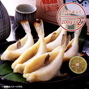 j j Ԃ  񂹃O CN Ε ~Mtg Mtg l CYӂ 銱 Zbg GF-1 oYj j j oYj o TԂ Cj 