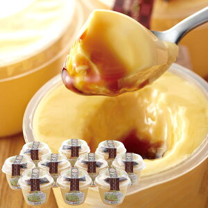 Ε  XC[c Mtg َq v ߎ Ѓv 10 {{ Zbg lߍ킹  Hi O Hו Ε 2025 ΕMtg 蕨 Ԃ A  