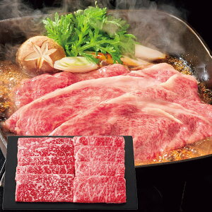 Ε   Mtg   a gV ㋍ Ă v500g ₫ [X  Zbg lߍ킹 Y  Hi O Hו Ε 2025 ΕMtg 蕨 Ԃ 