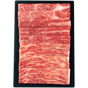 Ε   Mtg   a Oca Ă ₫ Ԃ O v470g 荇킹 Zbg lߍ킹 Y Hi O Hו Ε 2025 ΕMtg 蕨