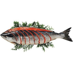 Ε  CN Mtg  g T[ g p ؐg 1 Zbg lߍ킹 TP VP  CY Hi O Hו Ε 2025 ΕMtg 蕨 Ԃ A   