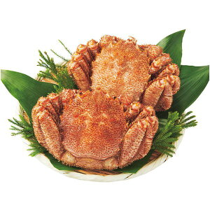 Ε  CN Mtg I  Jj уKj kC ъI {C p 2t Zbg lߍ킹  Y CY  Hi O Hו Ε 2025 ΕMtg 蕨 Ԃ A  