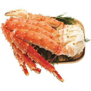 Ε  CN Mtg I  ^oKj  ΂ ΊI I̋r 1 800g Jj Jj rbO  CY  Hi O Hו Ε 2025 ΕMtg 蕨 