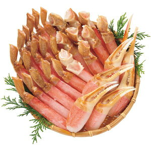 Ε  CN Mtg I  Jj YCKj YCKj |[V Jj Hׂ v900g ނg Zbg lߍ킹  Hi O Hו Ε 2025 ΕMtg 蕨