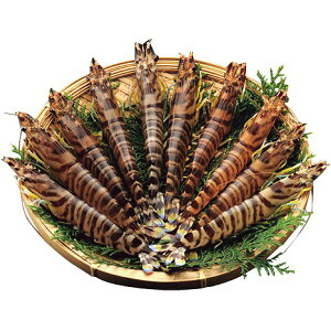 Ε  CN Mtg Gr  ԊCV  ^ 230g Y Zbg lߍ킹 H hg  CY VN Hi O Hו Ε 2025 ΕMtg 蕨 Ԃ A 