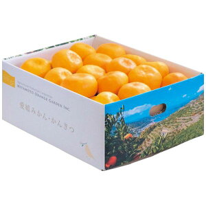 Ε  ʕ Mtg t[c ݂ B݂ 3kg Q FaY Zbg lߍ킹 { Y ʎ Hi O Hו Ε 2025 ΕMtg 蕨 Ԃ A   