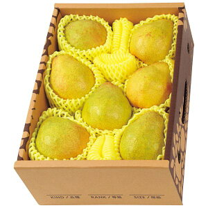 Ε  ʕ Mtg t[c m R`Y l[W 2kg Zbg lߍ킹 { Y ʎ  tX Hi O Hו Ε 2025 ΕMtg 蕨 Ԃ A 