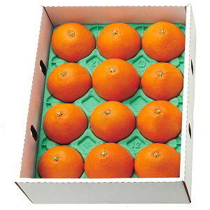 Ε  ʕ Mtg t[c ݂ QY g܂ǂ Gi 3kg Zbg lߍ킹 { Y ʎ Hi O Hו Ε 2025 ΕMtg 蕨 Ԃ A   