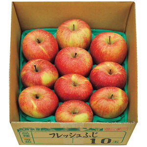 Ε  ʕ Mtg t[c  ь XY tƂ炸Tӂ 2.8kg Zbg lߍ킹 { Y ʎ Hi O Hו Ε 2025 ΕMtg 蕨 Ԃ A  