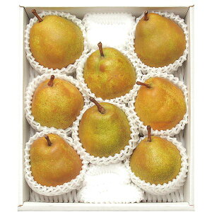 Ε  ʕ Mtg t[c m ݉ R`Y EtX 3.2kg Zbg lߍ킹 { Y ʎ Hi O Hו Ε 2025 ΕMtg 蕨 Ԃ A  