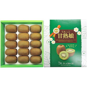 お歳暮 送料無料 果物 ギフト フルーツ キウイ うれっこキウイ 福岡県産 博多甘熟娘 1.5kg セット 詰め合わせ 旬の 国産 果実 食品 グルメ 食べ物 御歳暮 2025 お歳暮ギフト 贈り物 お返し 挨拶