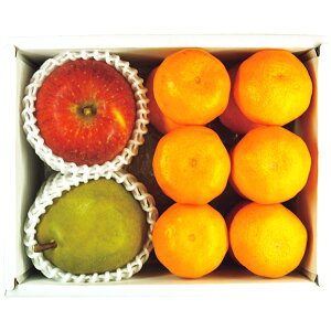 Ε  ʕ Mtg t[c荇킹 Lc݂ ~J MB Tӂ  m tX Zbg lߍ킹 { Y ʎ Hi O Hו Ε 2025 ΕMtg 