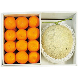 Ε  ʕ Mtg t[c荇킹 }XN 1 a̎RY ݂ 2kg Zbg lߍ킹 { Y ʎ Hi O Hו Ε 2025 ΕMtg 蕨 Ԃ A