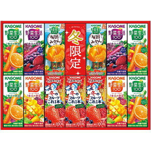 Ε  W[X Mtg ؃W[X JS ؐ100 ؈ EC^[oGeB 13{ Zbg lߍ킹 hN N Hi O Ε 2025 ΕMtg 蕨 