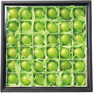 Ε  ʕ Mtg t[c Ԃǂ uhE  VC}XJbg 36 Zbg lߍ킹 { Y ʎ Hi O Hו Ε 2025 ΕMtg 蕨 Ԃ A  