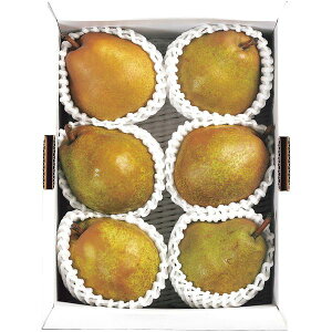 Ε  ʕ Mtg t[c m コ̑ʒI  tX 2kg 5`6 Zbg lߍ킹 { Y ʎ Hi O Hו Ε 2025 ΕMtg 蕨 Ԃ A 