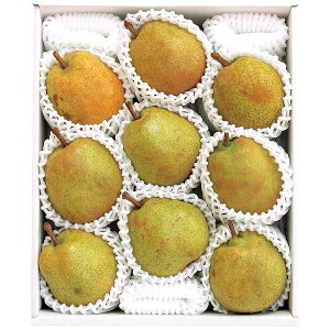 Ε  ʕ Mtg t[c m コ̑ʒI  tX 3kg 6`9 Zbg lߍ킹 { Y ʎ Hi O Hו Ε 2025 ΕMtg 蕨 Ԃ A 