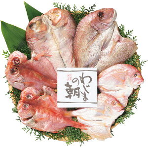 Ε  y CN Mtg  ֓ Â Hה Y Zbg lߍ킹 Ă  CY  ܂ ΐ쉞 Hi O Hו Ε 2025 ΕMtg 蕨 