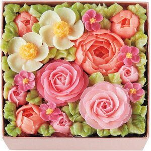 j Ԃ  XC[c Ε ~Mtg Mtg َq mَq Hׂ邨Ԃ̃{bNXt[P[L fR[VP[L Hi oYj j j oYj 