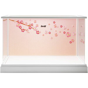 j Ԃ  CeA Ε ~Mtg Mtg pi  RNV{bNX ANP[X hJ l` tBMA oYj j j oYj 