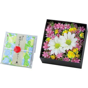 j Ԃ   Ε ~Mtg Mtg A[eBtBVt[ ق̋CBOX nJ` gt Zbg lߍ킹  킢 G  oYj j 