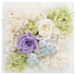 j Ԃ   Ε Mtg vU[uht[ Ǌ| EH[XNGABOX p[v  KN CeA G  킢 oYj j j oYj