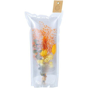  Ε ~Mtg Mtg hCt[ GAu[P CG[ t[Mtg  킢 CeA  pi G a Ԃ  v[g AR-01OR ŷEsz