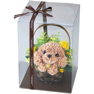 j Ԃ   Ε ~Mtg Mtg A[eBtBVt[ t[ps[ gCv[h AW 킢  G  CeA oYj j j 