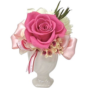 j Ԃ   Ε ~Mtg Mtg vU[uht[ B sN  킢 G  CeA oYj j j oYj o T