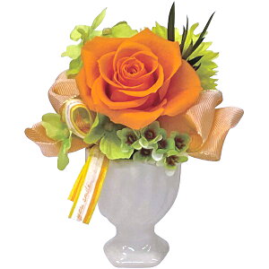 j Ԃ   Ε ~Mtg Mtg vU[uht[ B IW  킢 G CeA oYj j j oYj o TԂ