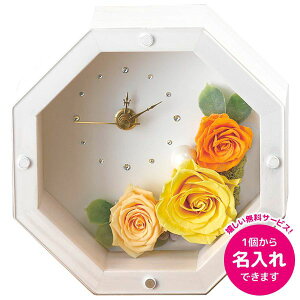 j Ԃ   Ε ~Mtg Mtg vU[uht[ MOLY AeB[NzCg Ԏv  킢 G CeA oYj j j oYj 